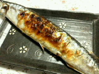 20100927221301.jpg